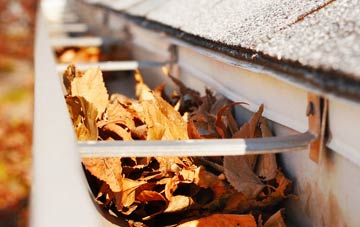 Gleadless Valley gutter cleaning companies